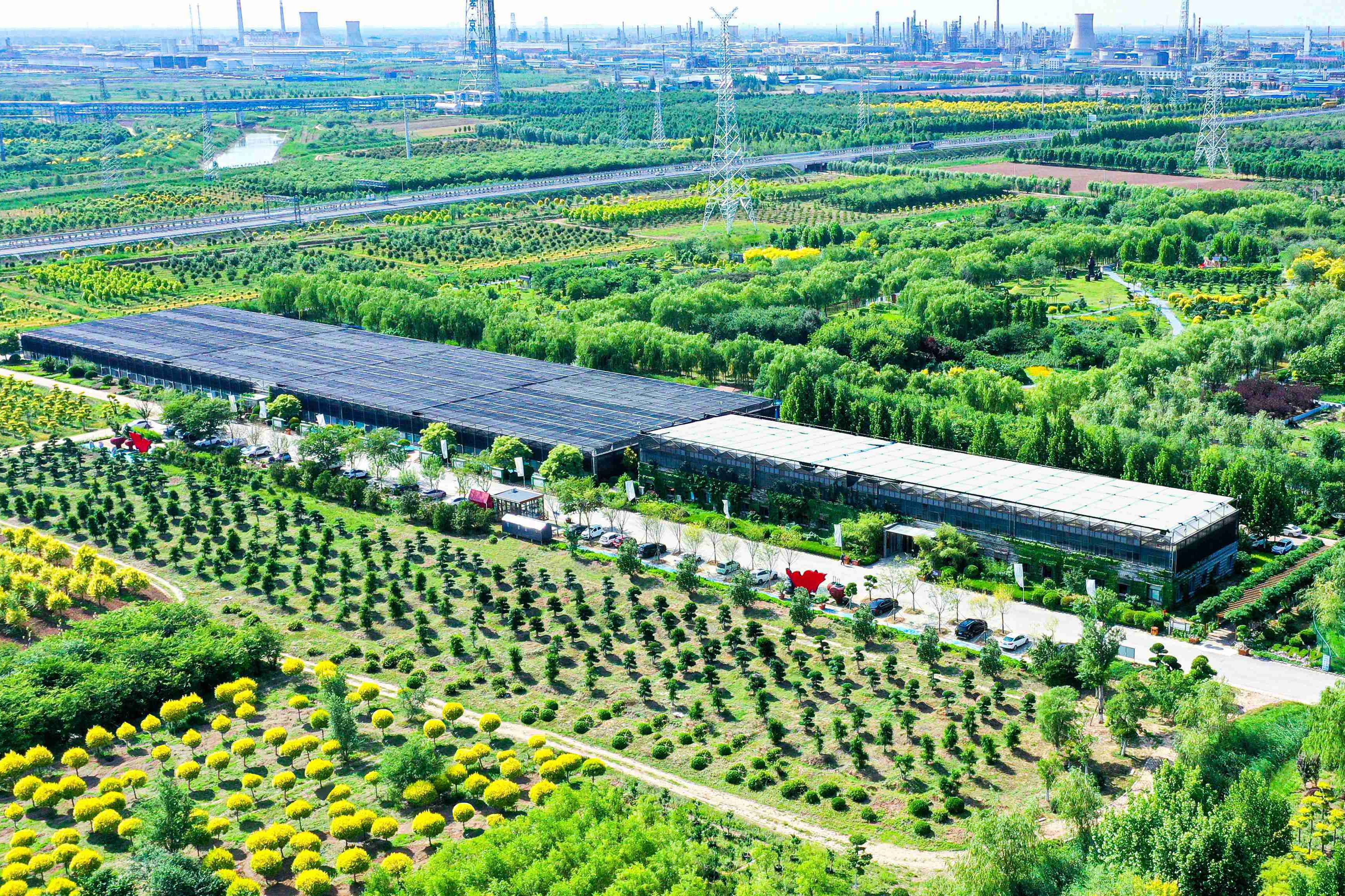 博華休閑農(nóng)業(yè)精品園區(qū)入選“山(shān)東(dōng)省休閑農(nóng)業(yè)精品園區(qū)典型案例”