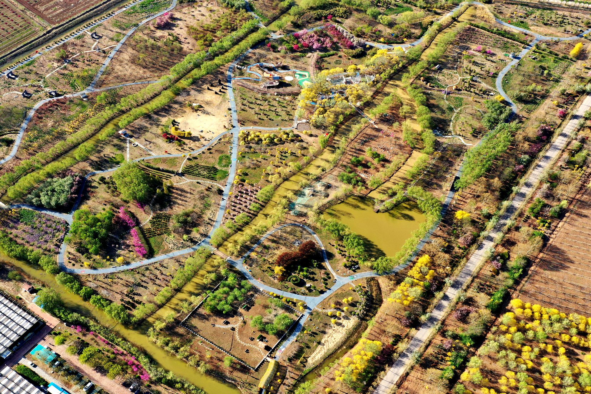 孔子(zǐ)草(cǎo)花(huā)園4月(yuè)29日(rì)正式開(kāi)園啦！